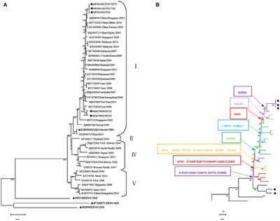 Complete Genome Characterization of the 2017 Dengue Outbreak in Xishuangbanna, a Border City of China, Burma and Laos